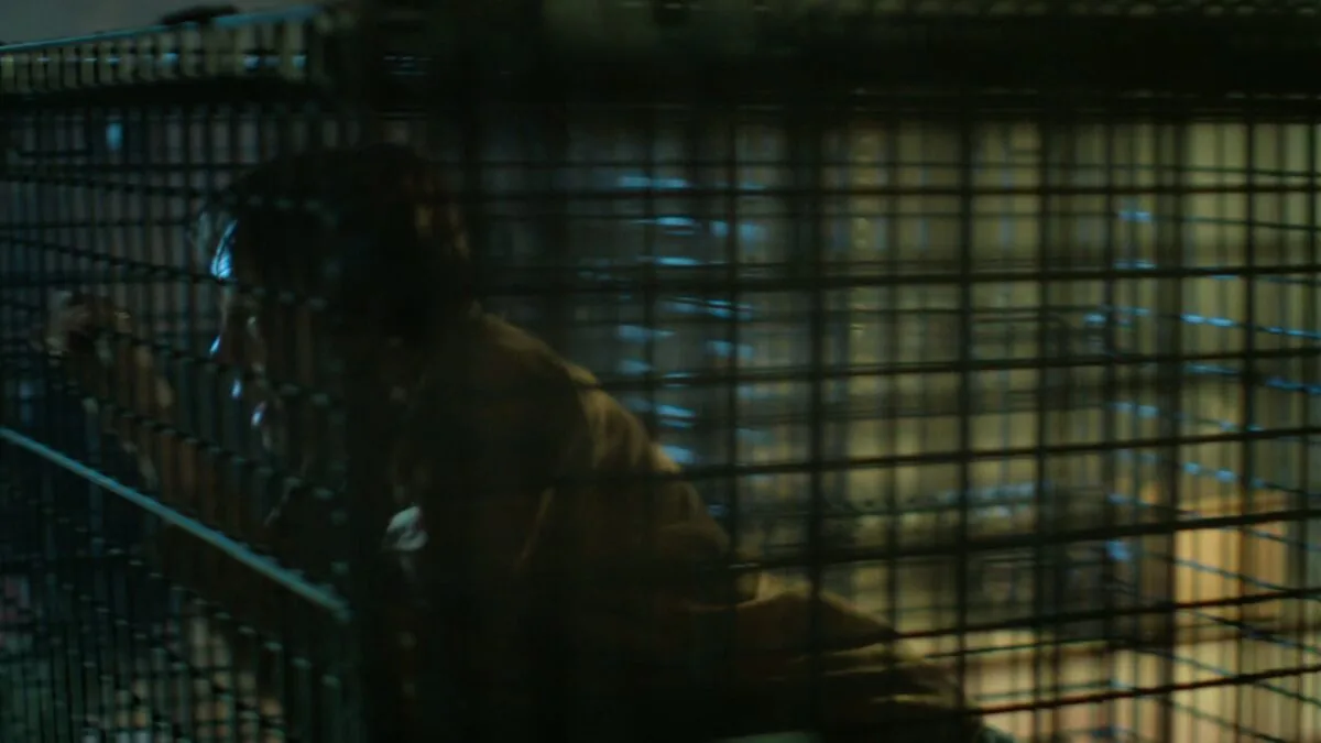 Фото галереи #2